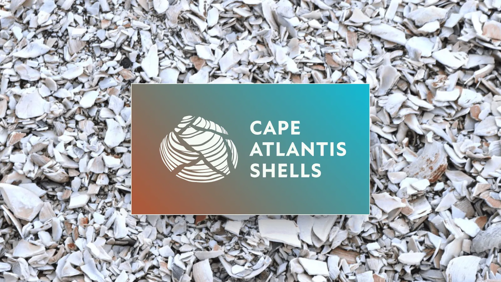 Cape Atlantis Shells LLC — Cape Atlantis Shells LLC, 2025